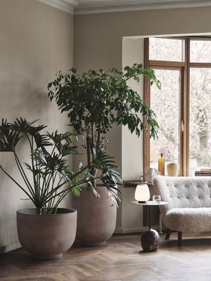 Puut ja suurikokoiset kasvit tarvitsevat tarpeeksi suuren ruukun. Tanskalaisen &Traditionin mallistossa on useita suuria ja veistoksellisia ruukkuja, jotka sopivat myös ulkokäyttöön, alk. 224e. 