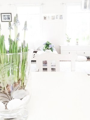 @tovesusanna nauttii sunnuntaip&auml;ivist&auml;&nbsp;n&auml;in kauniissa kev&auml;tkodissa. Helmililjojen aika on nyt!