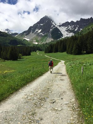 Patikoijien määränpää on taustalla näkyvä Col de la Croix du Bonhomme.