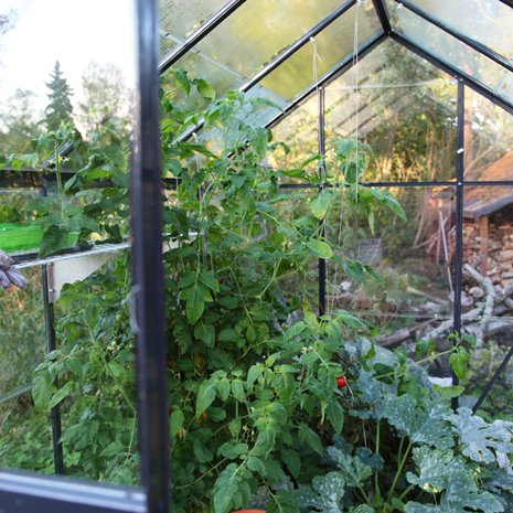 kasvihuone, alumiini, tummanharmaa