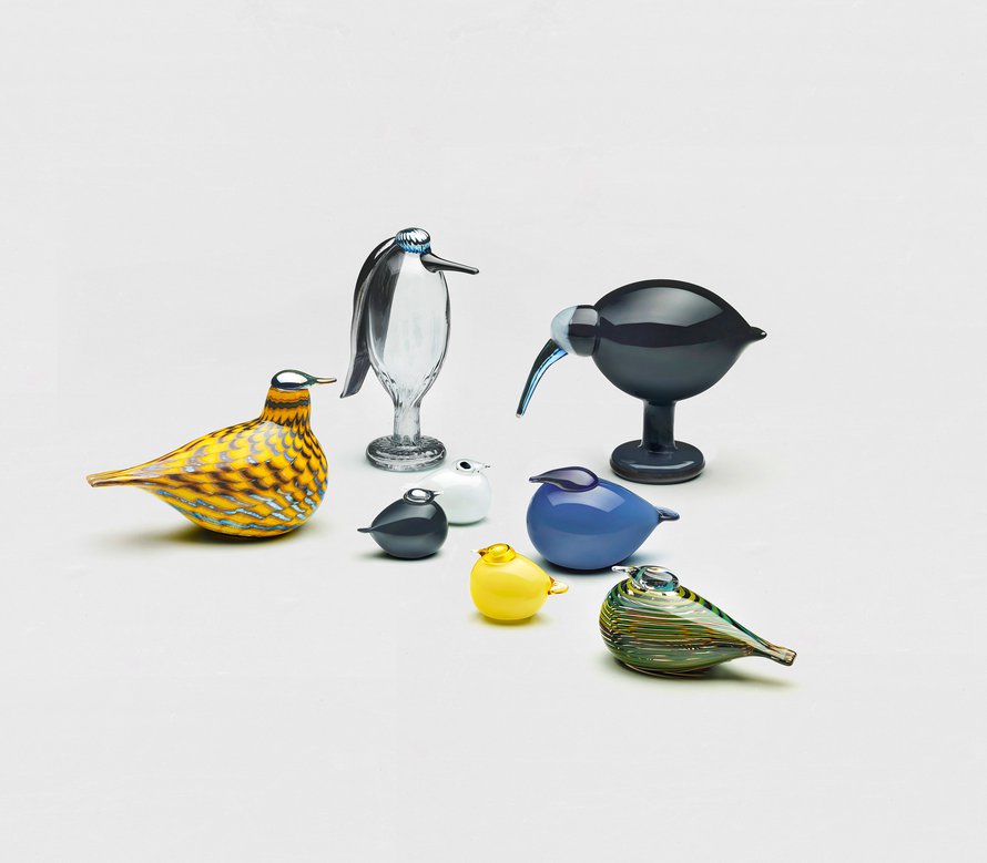 Toikan lintujen suku on niin laaja, että tunnistamisessa on hupia pitkäksi aikaa. Ryhmässä on ainakin haikara ja joukko pikkulintuja, mutta keitä muita? Kuva: <span class="photographer">Iittala</span>