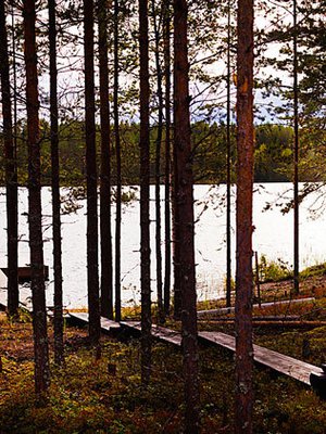 <p><p> Saunamökin terassilla istuskellessa voi ihailla näkymää Puruvedelle.</p></p>