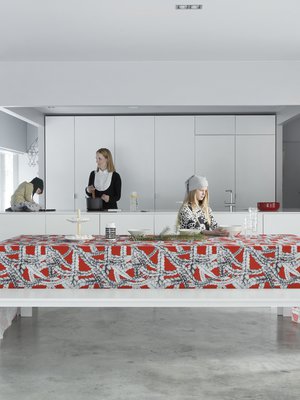 Keittiön ruokapöytä penkkeineen on Tytin suunnittelema. Metallijalat valmisti peltiseppä Risto Juutistenaho ja laminaattitasot tilattiin Haapaveden Puusepiltä. Keittiön saarekkeineen suunnitteli Archeus ja sen toimitti Aallon Kaluste. Punainen joululiina on Maija Louekarin Vimmalle suunnittelemaa Lettiä-kangasta.