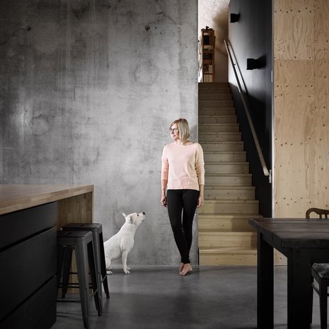 Tiinan ja Kara-koiran takaa nousevat portaat ylös työhuoneeseen ja kirjastoon. Seinämaalin sävy on Tikkurilan Takorauta.