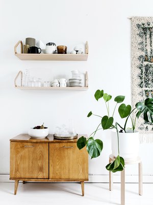 Peikonlehti on nyt sisustajien suosiossa muotonsa selkeyden vuoksi. Kun Peikonlehteä kasvattaa vuosia, siitä tulee valtava, rönsyilevä pensas. Aalto-jakkara sopii hyvin kukkapöydäksi yhdelle isolle ruukkukukalle. Kuva: <span class="photographer">Pauliina Salonen</span>