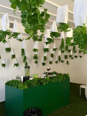 Järvikylän yrtit osallistuvat Taiteiden yöhön.