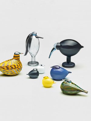 Toikan lintujen suku on  niin laaja, että tunnistamisessa on hupia pitkäksi aikaa. Ryhmässä on ainakin  haikara ja joukko pikkulintuja, mutta keitä muita? Kuva: <span class="photographer">Iittala</span>