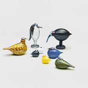 Toikan lintujen suku on niin laaja, että tunnistamisessa on hupia pitkäksi aikaa. Ryhmässä on ainakin haikara ja joukko pikkulintuja, mutta keitä muita? Kuva: <span class="photographer">Iittala</span>