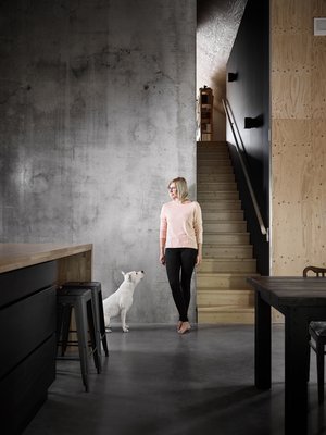 Tiinan ja Kara-koiran takaa nousevat portaat ylös työhuoneeseen ja kirjastoon. Seinämaalin sävy on Tikkurilan Takorauta.